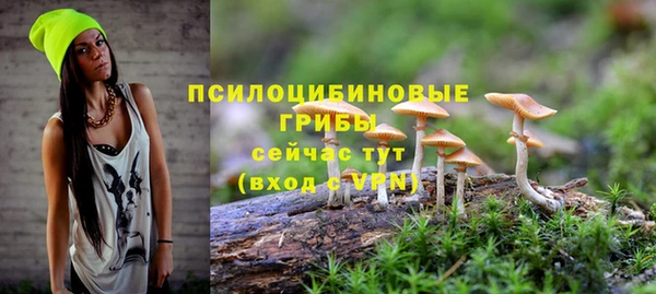 МДПВ Верхнеуральск