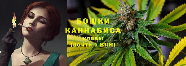 индика Нея