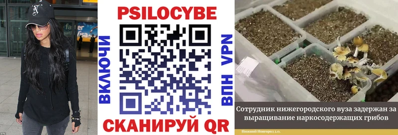 Псилоцибиновые грибы ЛСД  Нижнекамск 
